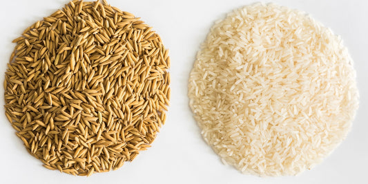 brown vs white rice