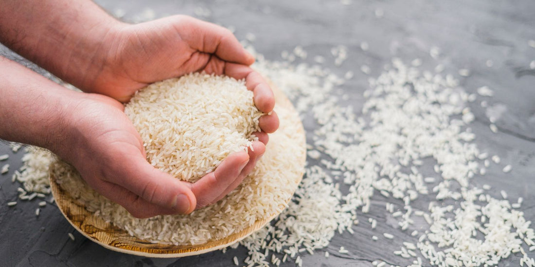 Which Rice Has the Highest Protein Content?