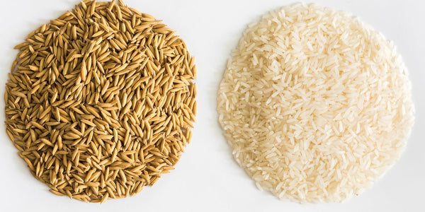 Brown Rice vs White Rice: Which is Better for Diabetes?