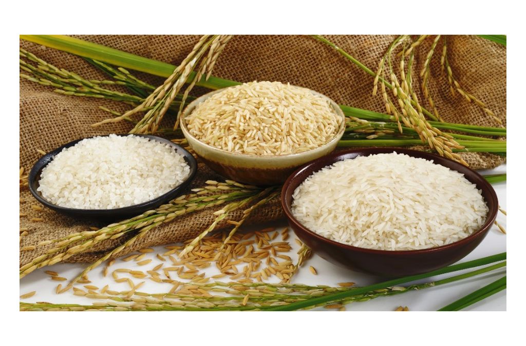 High Protine Rice Low-Carb High-Protein Rice Healthier and Tastier Choice – RealNutriCo
